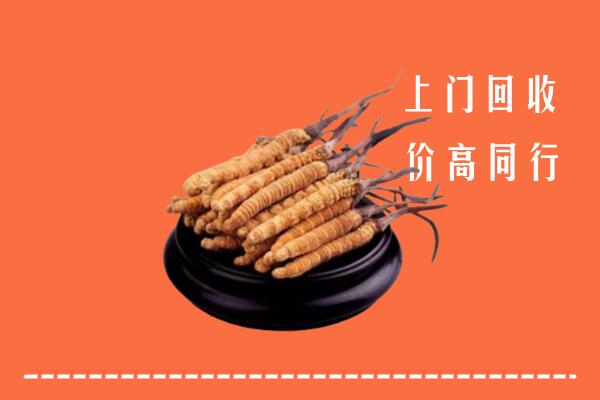 高价求购：黄山区回收散虫草