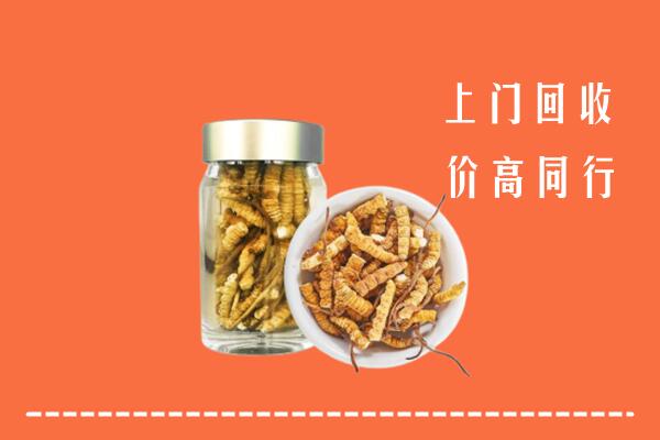 收购行情：黄山区回收冬虫夏草