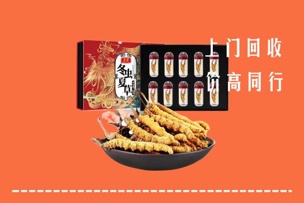 黄山区回收虫草